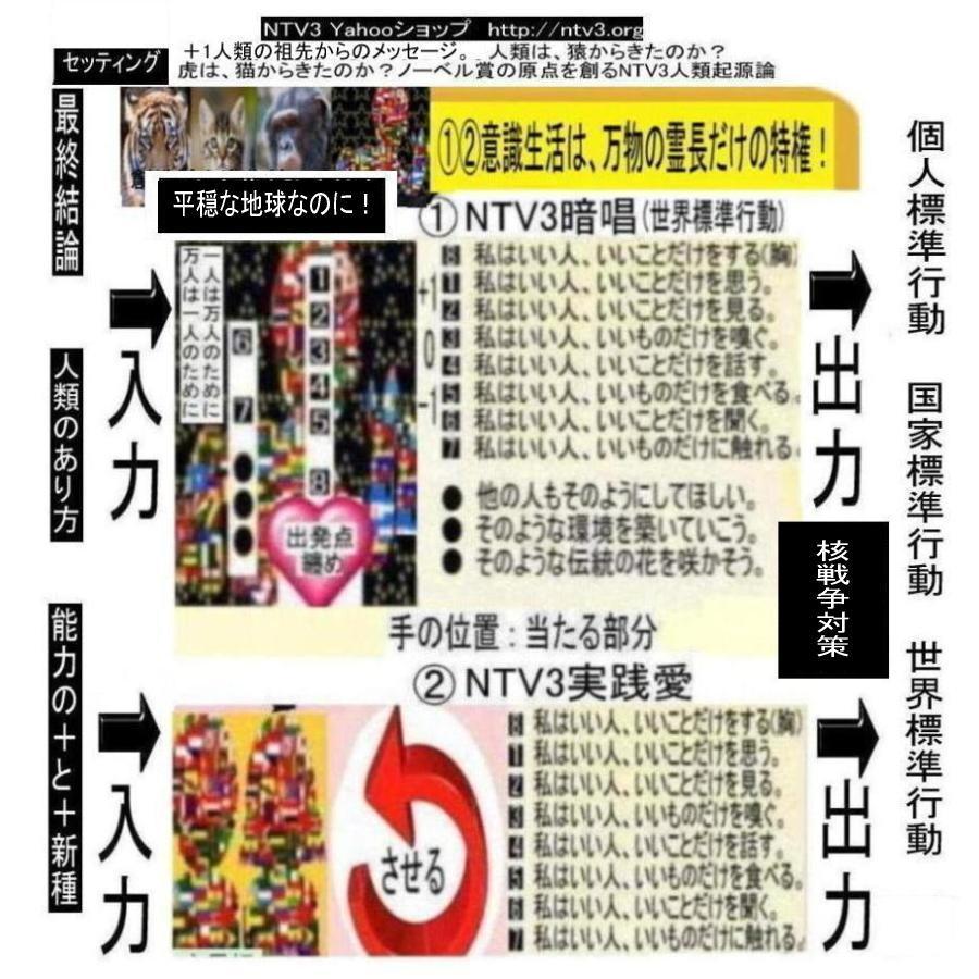 新生活  核戦争(人類共滅)対策 |  | 11