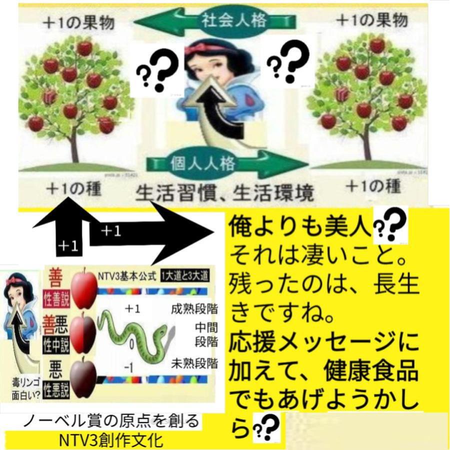 新生活  核戦争(人類共滅)対策 |  | 08