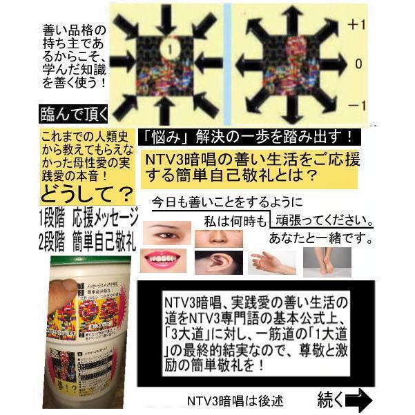 新生活 学生の花 |  | 12