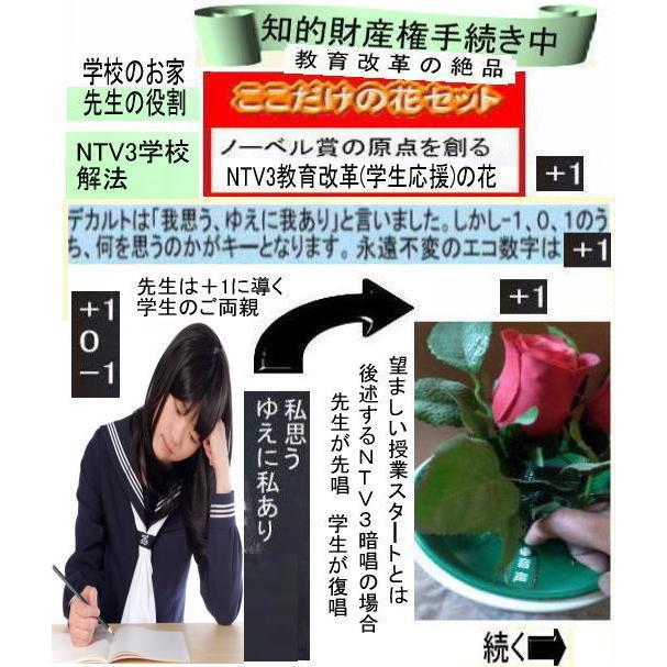 新生活 学生の花 |  | 01