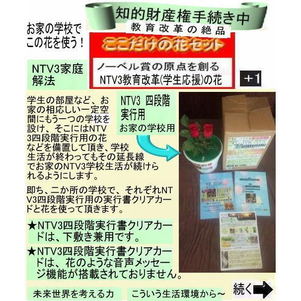 新生活 学生の花 |  | 06