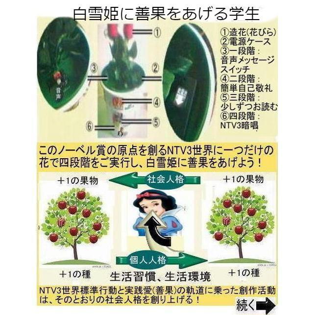 新生活 学生の花 |  | 07