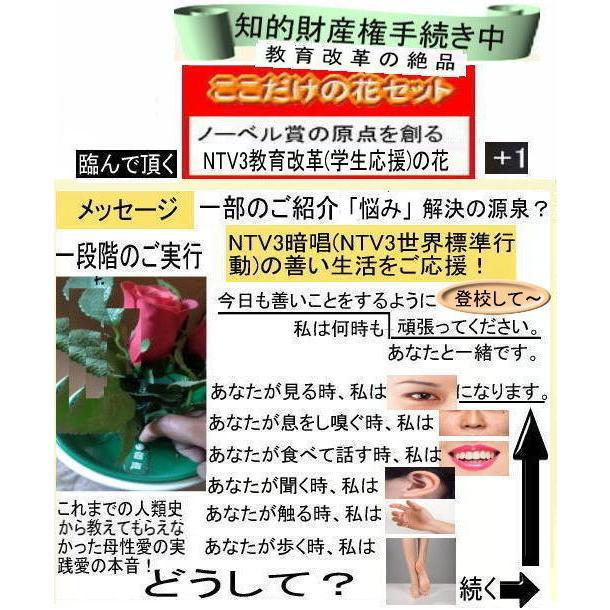 新生活 学生の花 |  | 08