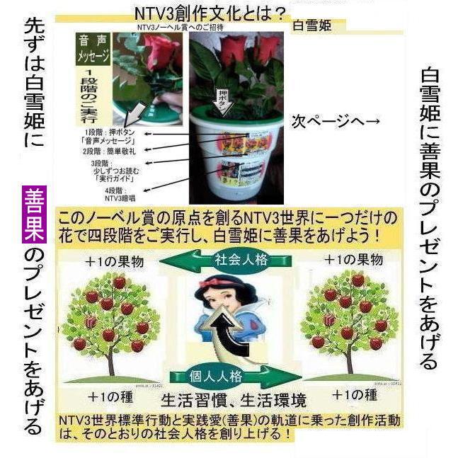 新生活  NTV3ノーベル賞へご招待！ |  | 14