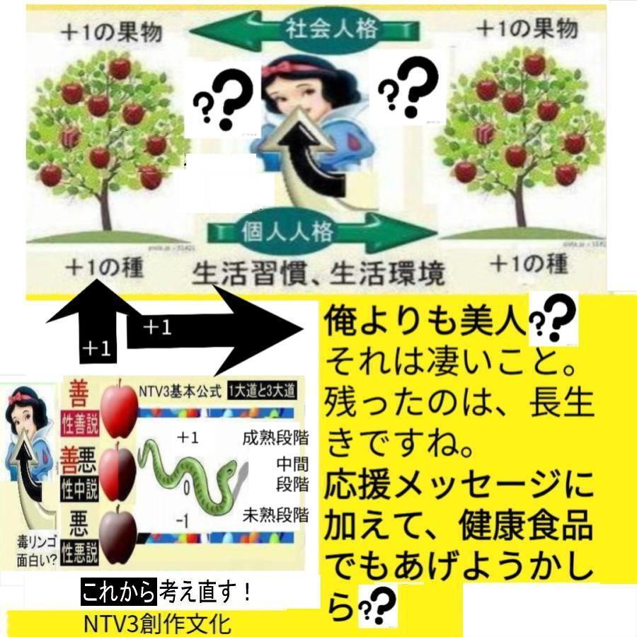 新生活  NTV3ノーベル賞へご招待！ |  | 15