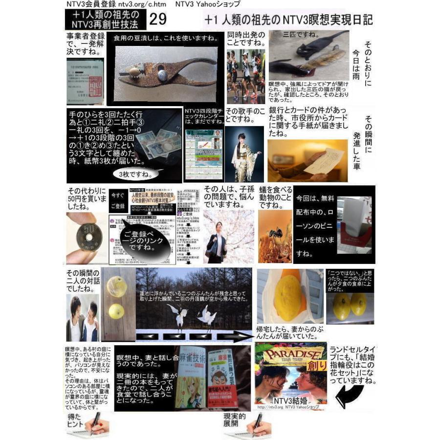 ＋１人類の祖先のNTV3瞑想実現日記 |  | 08