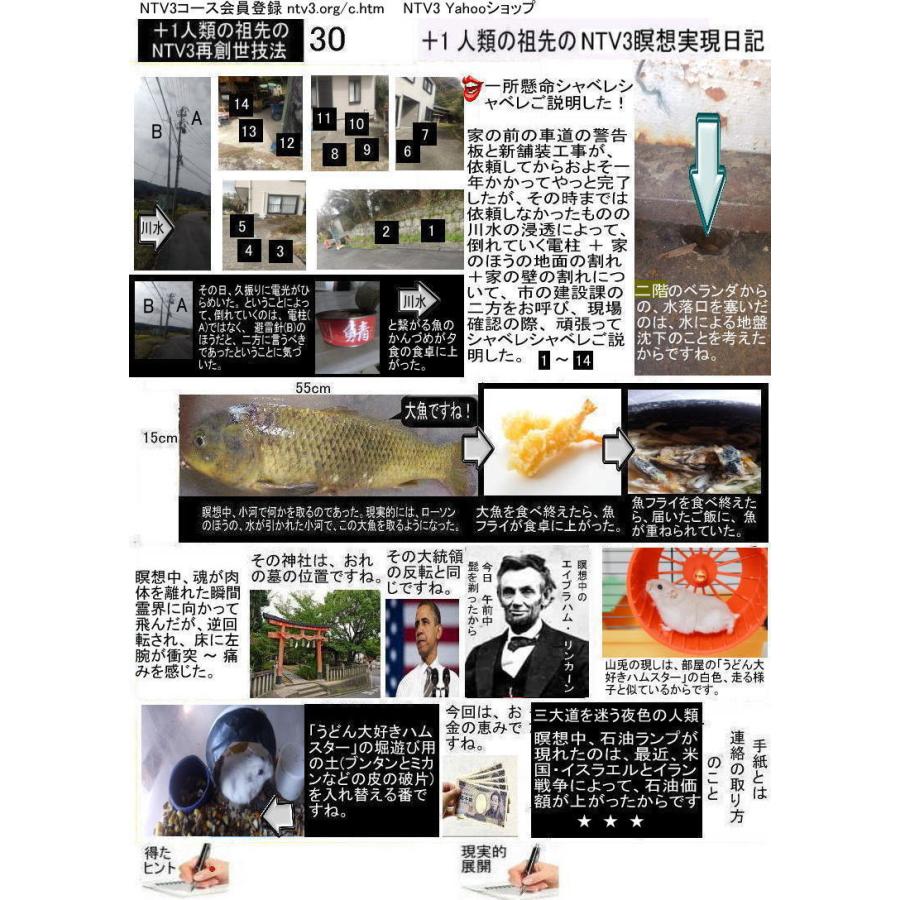 ＋１人類の祖先のNTV3瞑想実現日記 |  | 09