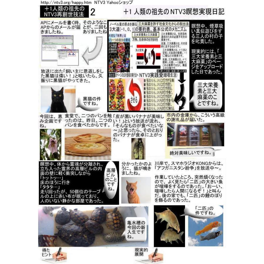 ＋１人類の祖先のNTV3瞑想実現日記 |  | 02