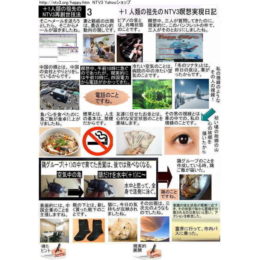 ＋１人類の祖先のNTV3瞑想実現日記 |  | 03