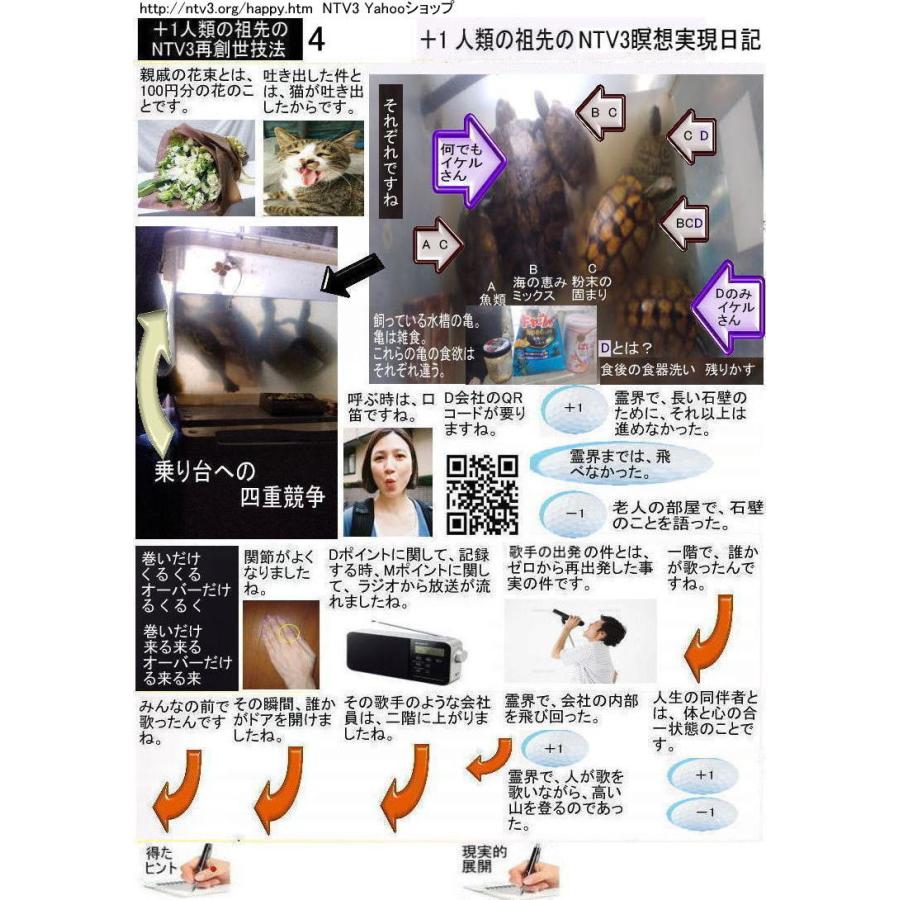 ＋１人類の祖先のNTV3瞑想実現日記 |  | 04