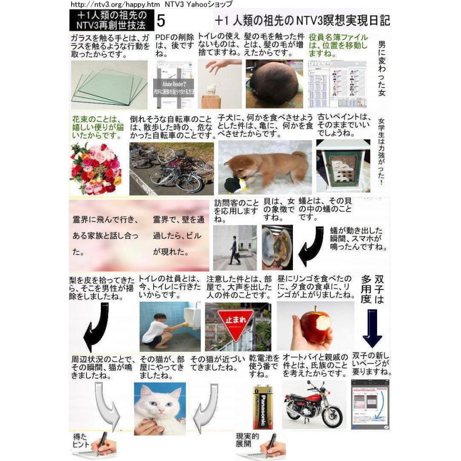 ＋１人類の祖先のNTV3瞑想実現日記 |  | 05