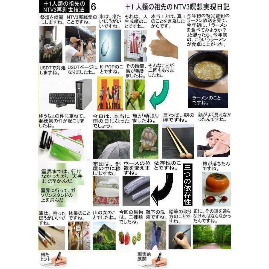 ＋１人類の祖先のNTV3瞑想実現日記 |  | 06