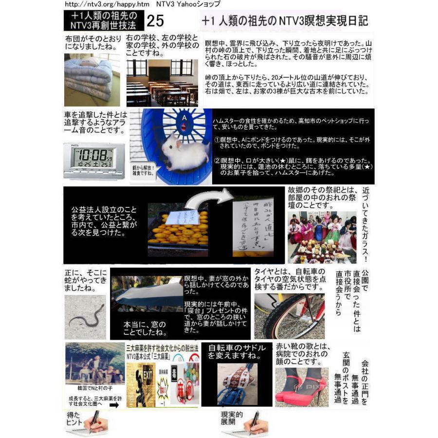 ＋１人類の祖先のNTV3瞑想実現日記 |  | 05