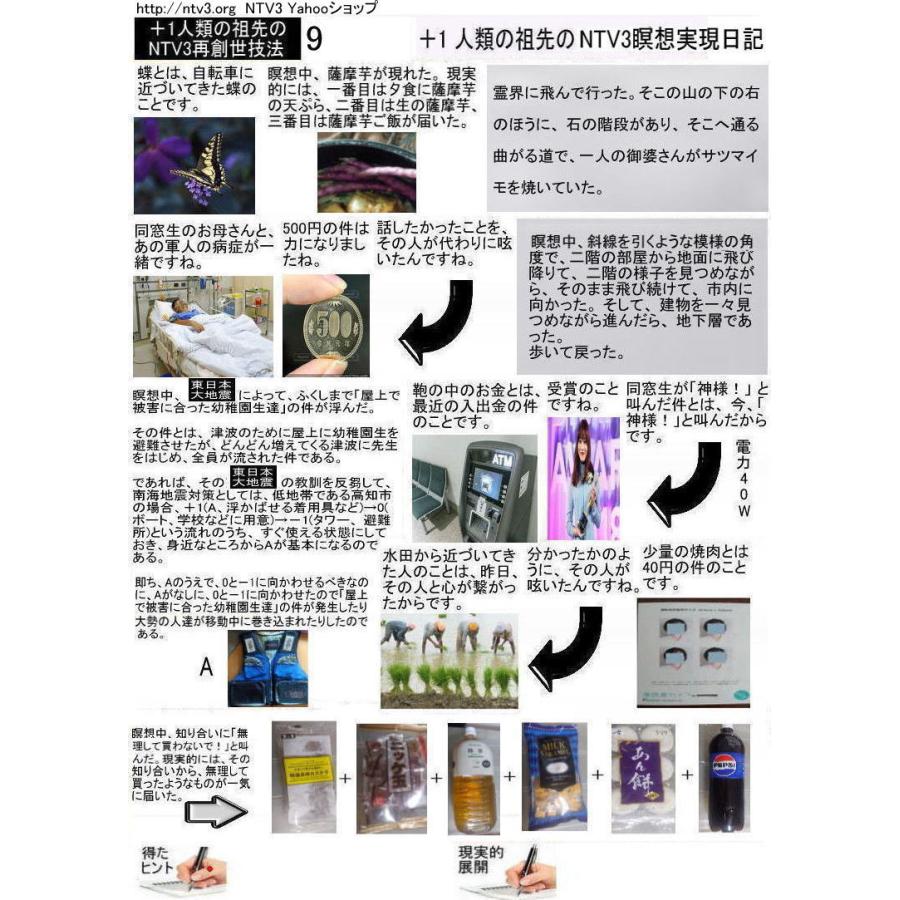 ＋１人類の祖先のNTV3瞑想実現日記 |  | 09