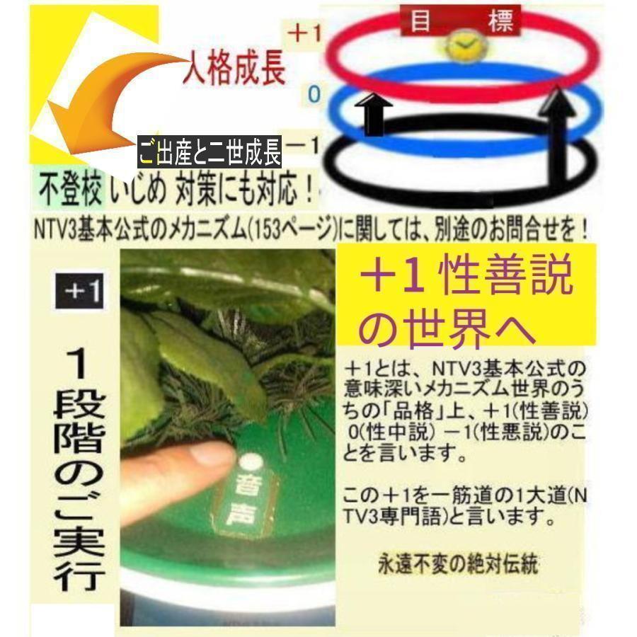 ビジネス(コース)会員登録せよ！ 花タイプ |  | 18