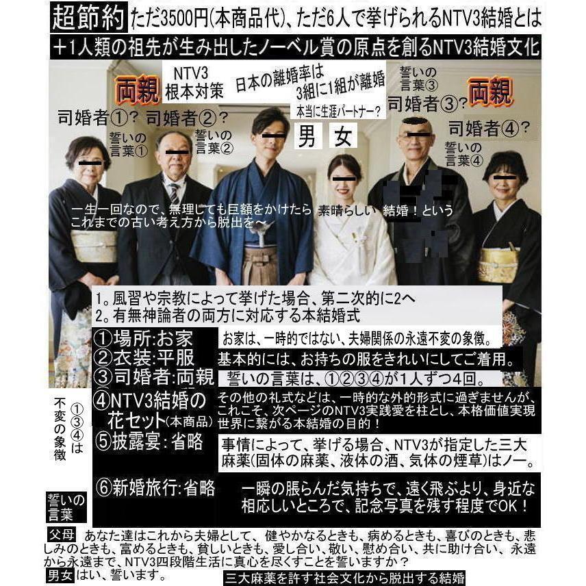 ビジネス(コース)会員登録せよ！ 花タイプ |  | 01