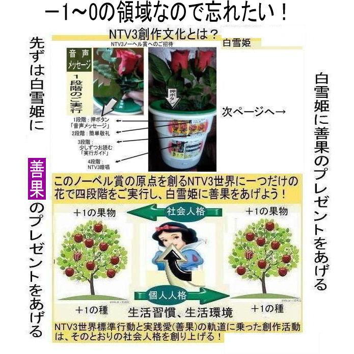 緊急警告　新生活　忘れるべき忘年会という社会文化 |  | 12