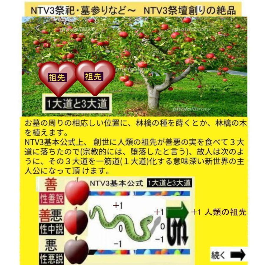 新生活　＋1人類の祖先が生み出した＋1ノベール賞とは |  | 11