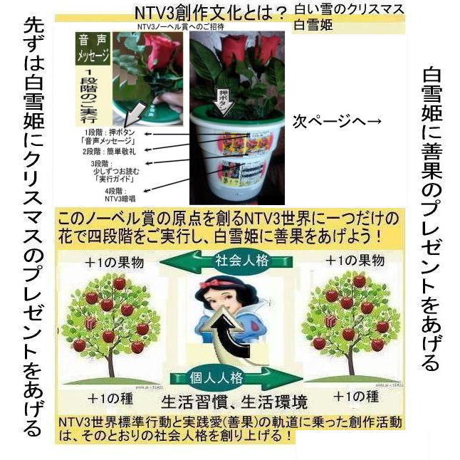 緊急警告　新生活　嘘をつくクリスマスの社会文化 |  | 02