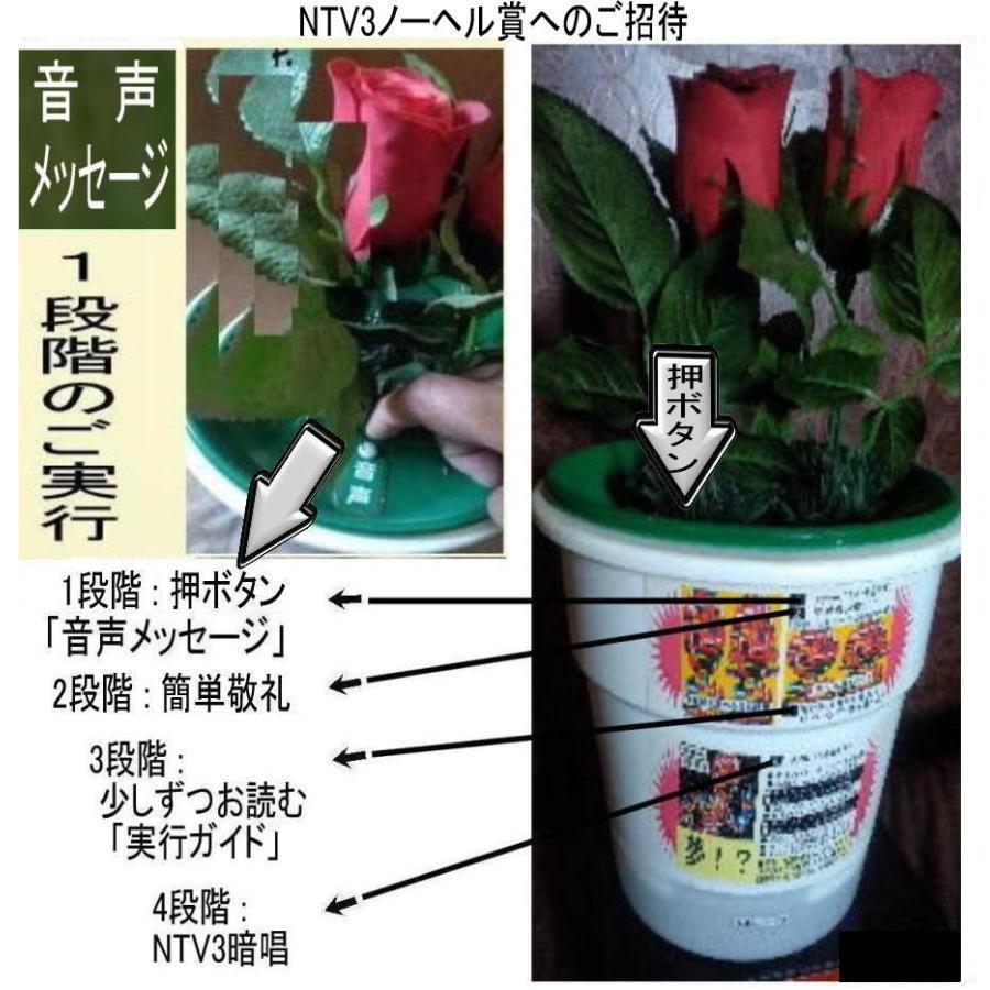 緊急警告　新生活　嘘をつくクリスマスの社会文化 |  | 03