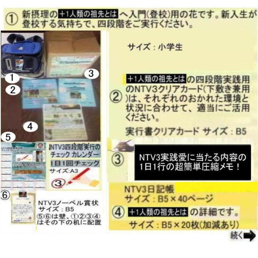 新生活　＋1人類の祖先とは(ランドセルタイプ) | 