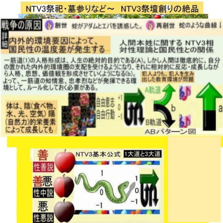新生活　＋1人類の祖先とは(ランドセルタイプ) |  | 02