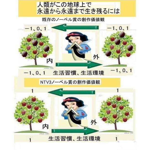 新生活　＋1人類の祖先とは(ランドセルタイプ) |  | 08