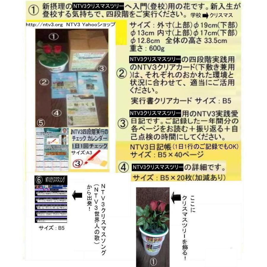 新生活　NTV3クリスマスツリー |  | 01