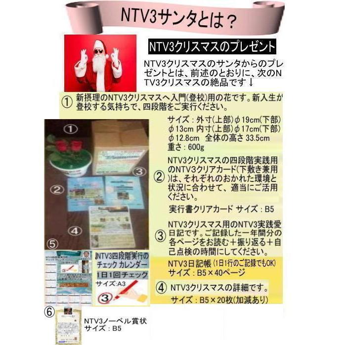 公益 NTV3クリスマスツリー |  | 13