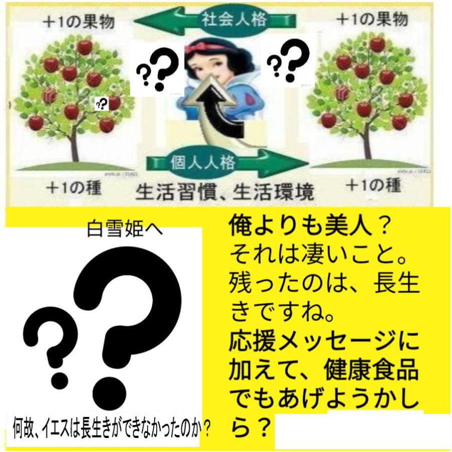 公益 NTV3クリスマスツリー |  | 04