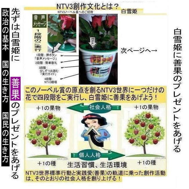 新生活　NTV3政治改革の絶品 |  | 13