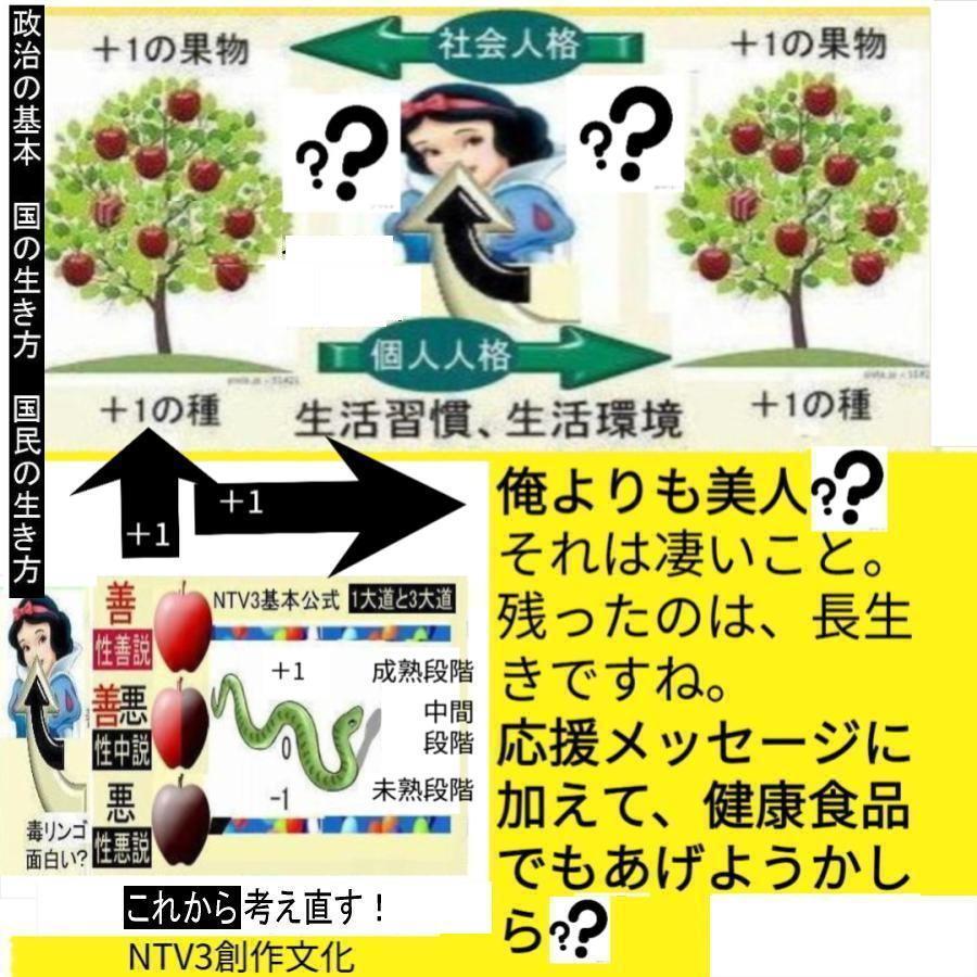 新生活　NTV3政治改革の絶品 |  | 14