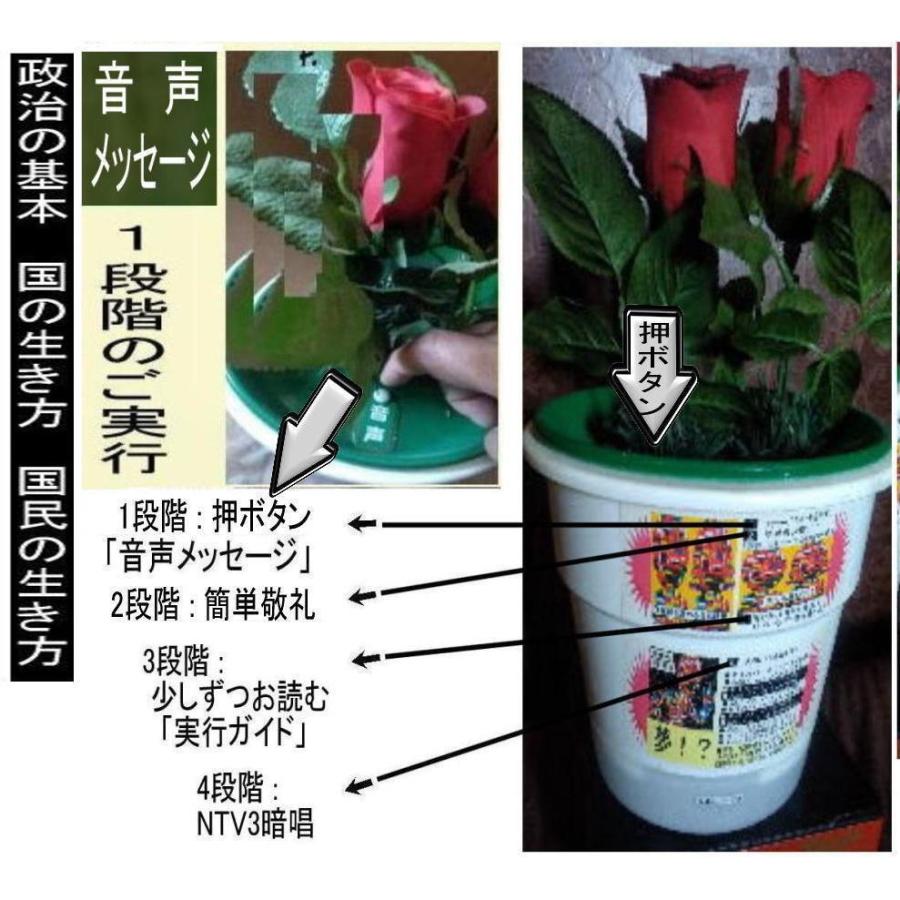 新生活　NTV3政治改革の絶品 |  | 07