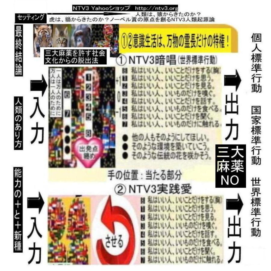 公益  三大麻薬を許す社会文化から脱出法 |  | 13