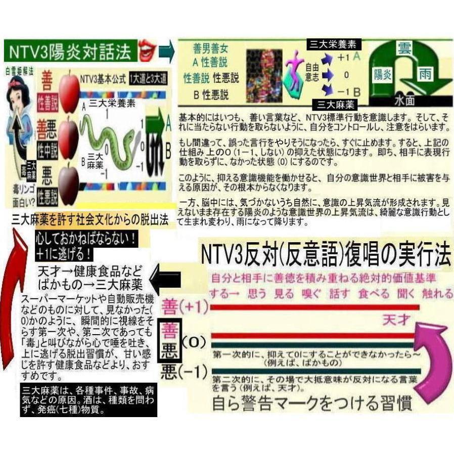 公益  三大麻薬を許す社会文化から脱出法 |  | 14