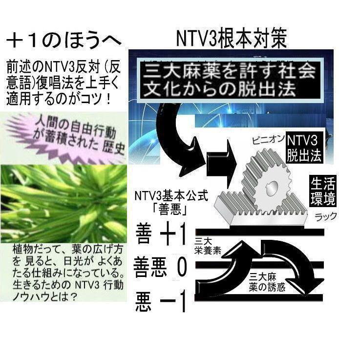 公益  三大麻薬を許す社会文化から脱出法 |  | 15