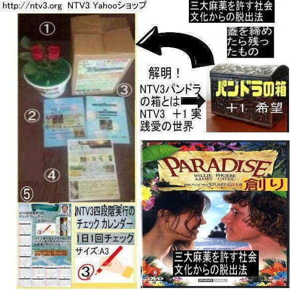 公益  三大麻薬を許す社会文化から脱出法 |  | 17
