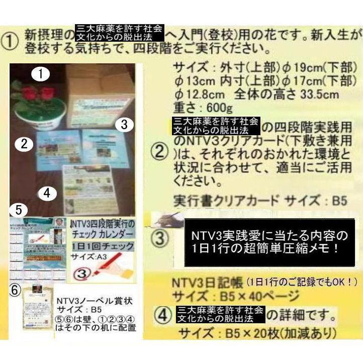 公益  三大麻薬を許す社会文化から脱出法 |  | 01