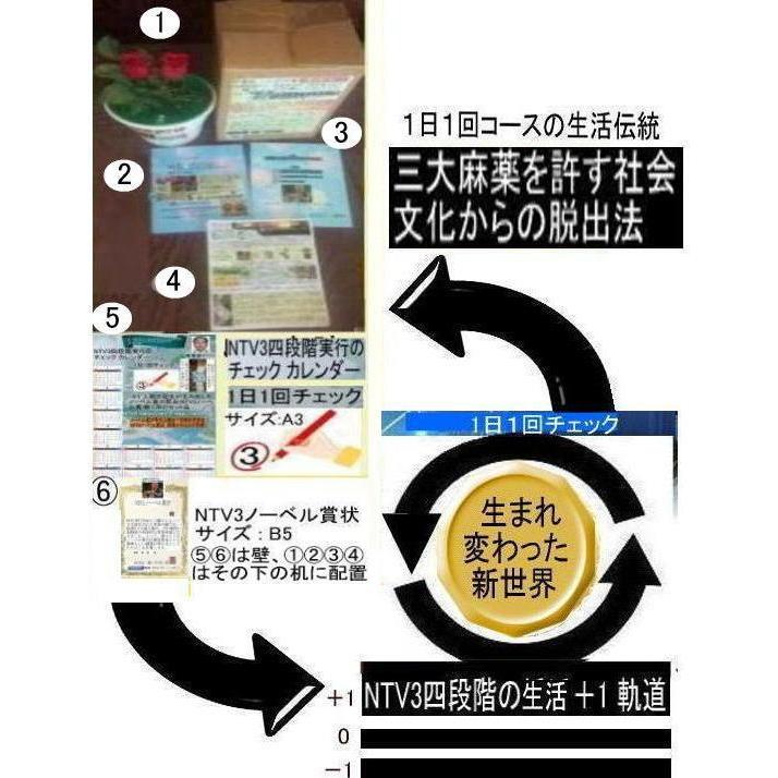 公益  三大麻薬を許す社会文化から脱出法 |  | 02