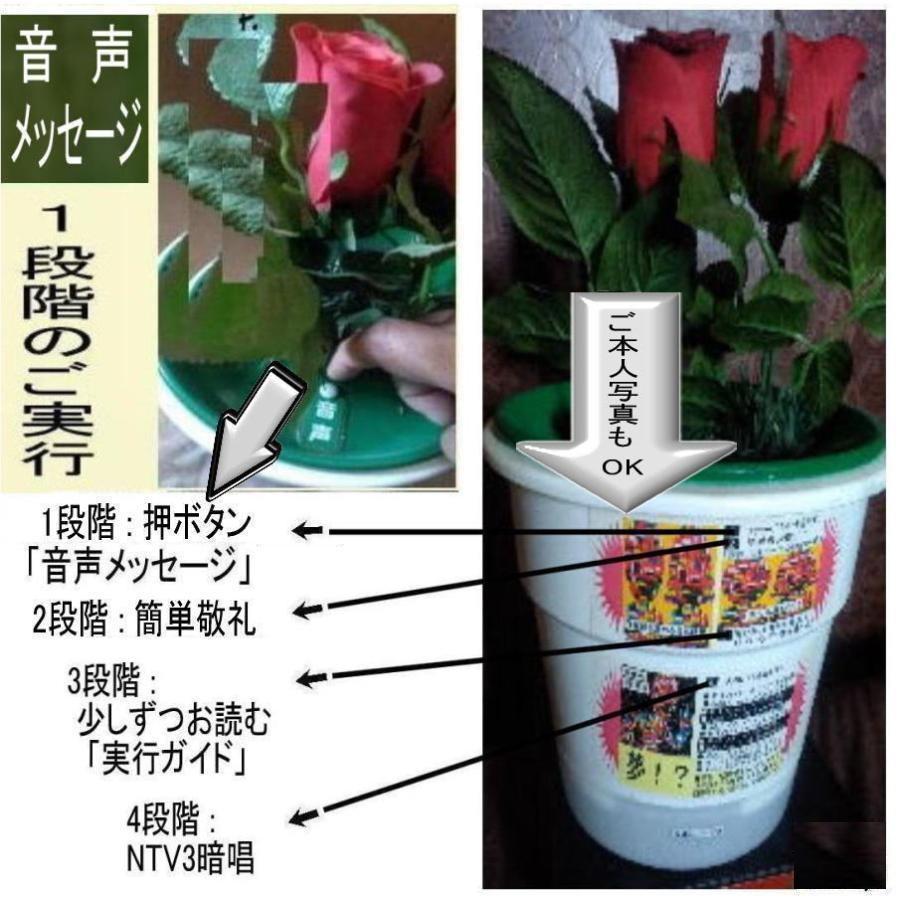 公益  三大麻薬を許す社会文化から脱出法 |  | 04