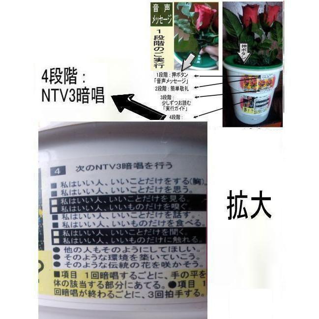 公益  三大麻薬を許す社会文化から脱出法 |  | 05