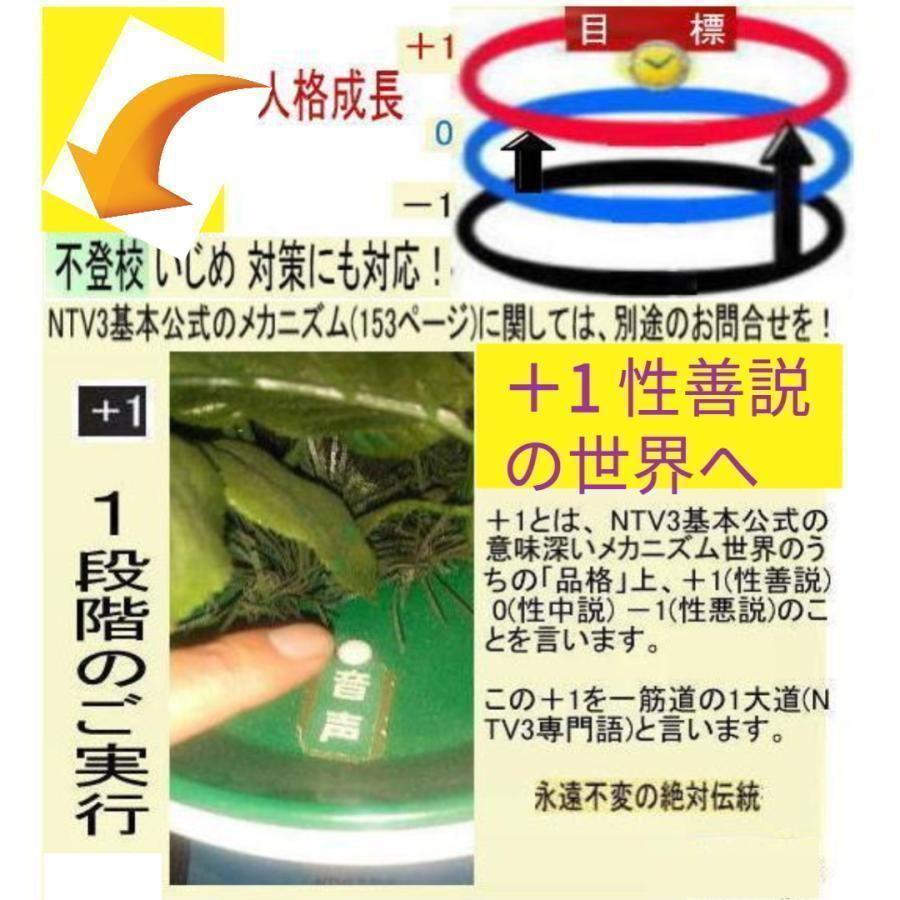 公益  三大麻薬を許す社会文化から脱出法 |  | 06