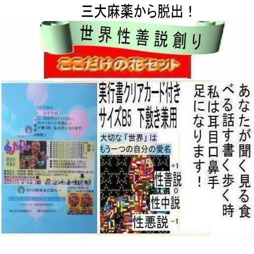 公益  三大麻薬を許す社会文化から脱出法 |  | 07