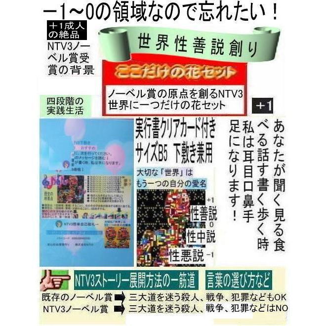新生活　NTV3成人式の絶品 |  | 10