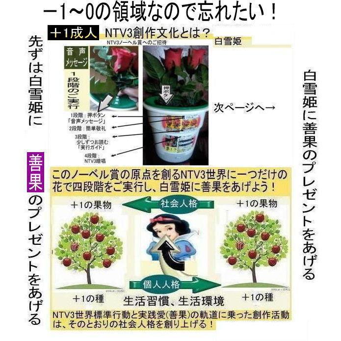 新生活　NTV3成人式の絶品 |  | 12