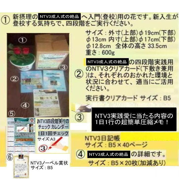 新生活　NTV3成人式の絶品 |  | 01