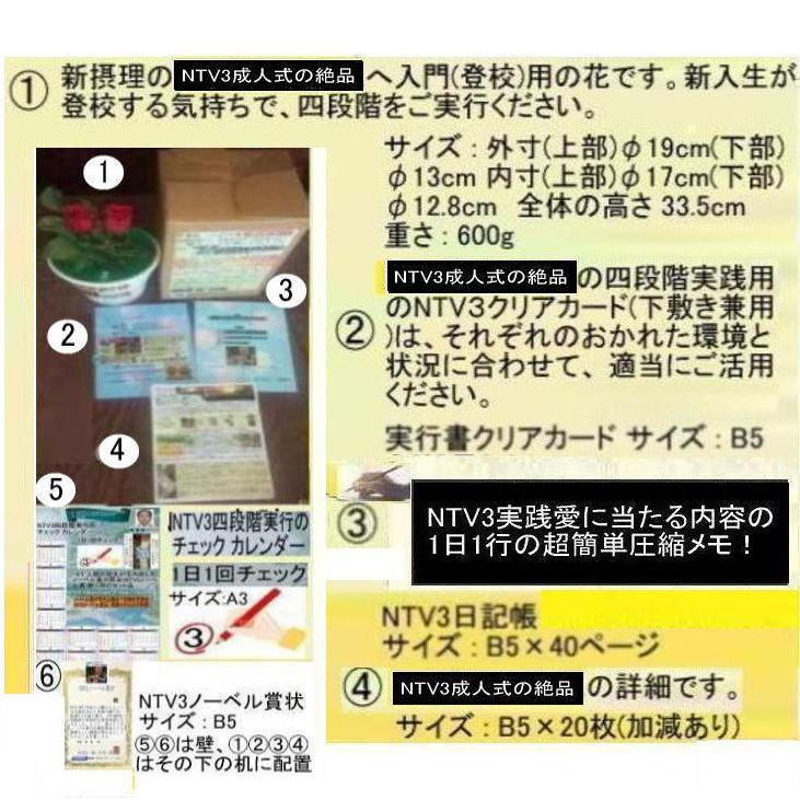 新生活　NTV3成人式の絶品 |  | 01