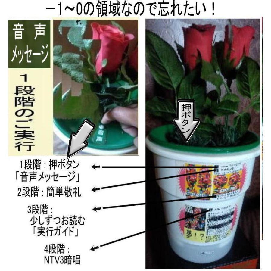 新生活　NTV3成人式の絶品 |  | 06