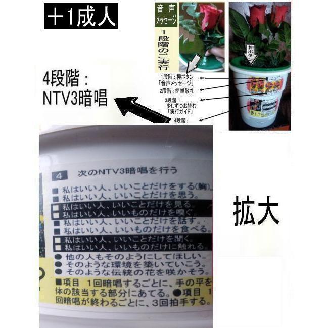 新生活　NTV3成人式の絶品 |  | 09