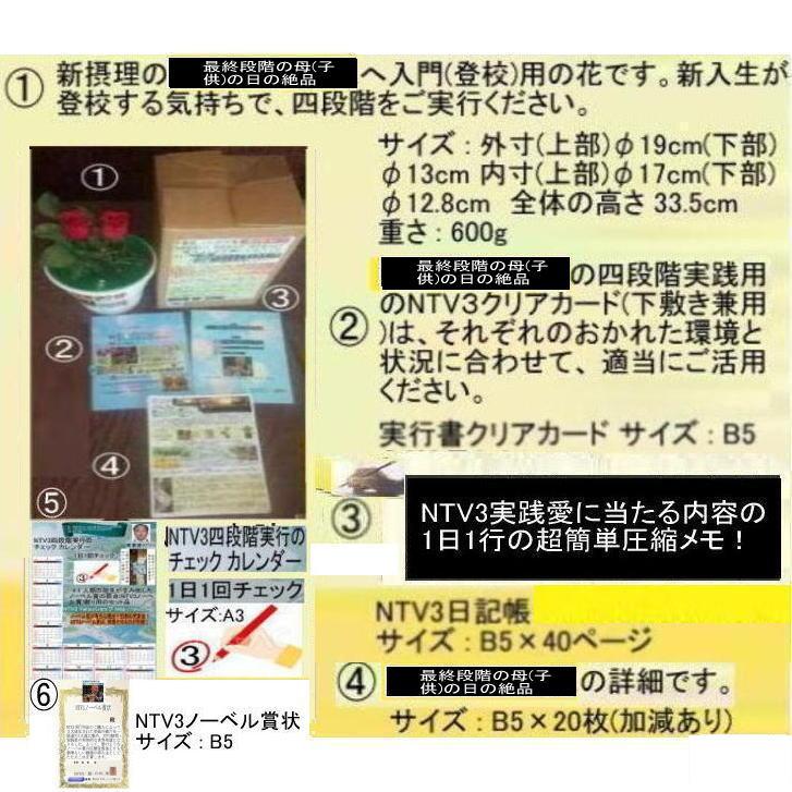 公益　最終段階の母(子供)の日の絶品 |  | 02